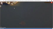 2018-5-12 center of the lake milfoil 4-GIS Viewer.jpg